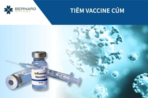 Vaccine cúm (Influvac Tetra)